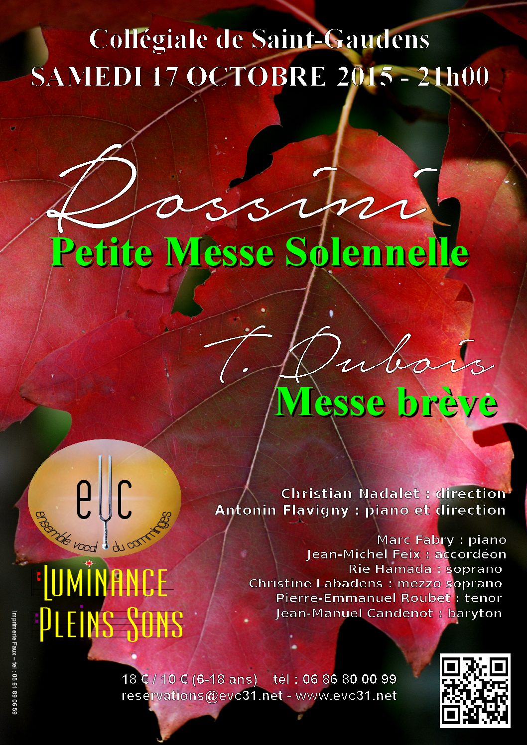 17 octobre 2015 : Concert de Pleins Sons et Luminance