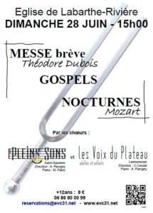 Concert Pleins Sons et Voix duPlateau 28 juin 2015