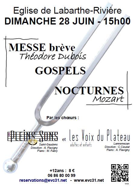 Concert Pleins Sons et Voix duPlateau 28 juin 2015